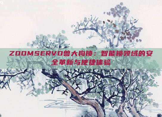 ZOOMSERVO兽大狗锁：智能锁领域的安全革新与便捷体验